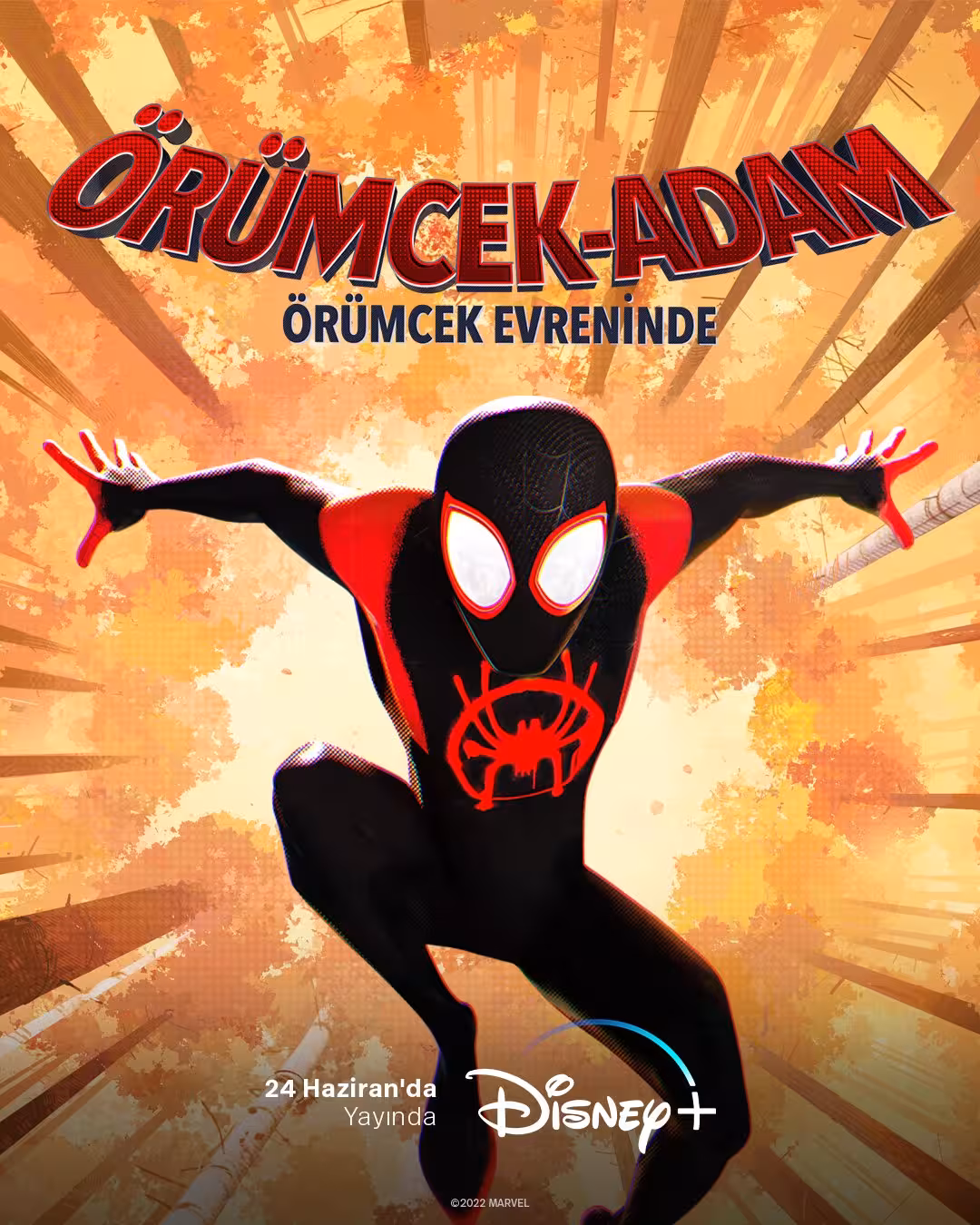Örümcek Adam: Örümcek Evreninde