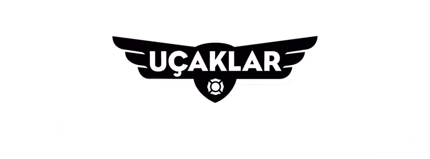 Uçaklar 2 Logo